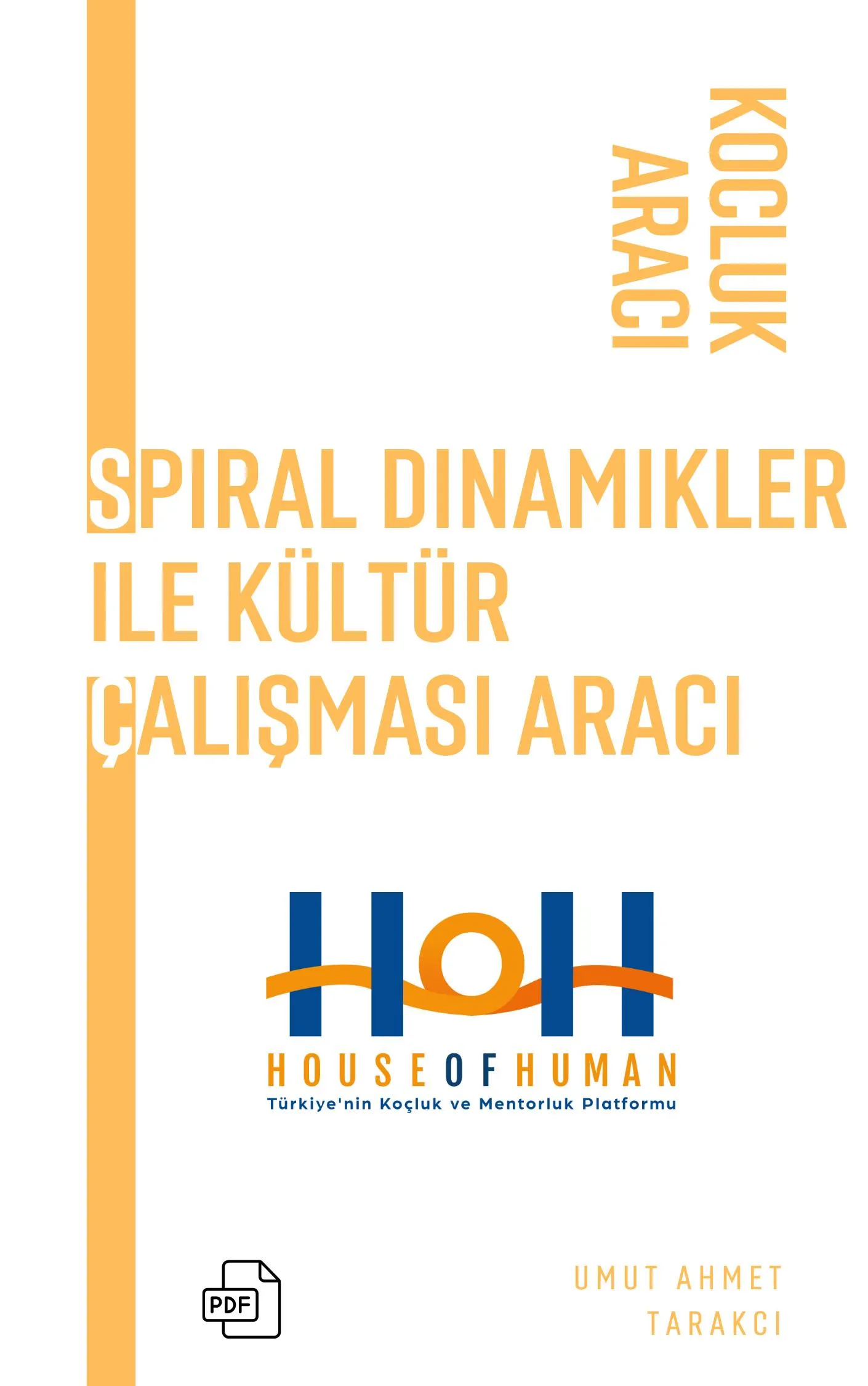 Spiral Dinamikler ile Kültür Çalışması Aracı - Koçluk - House Of Human
